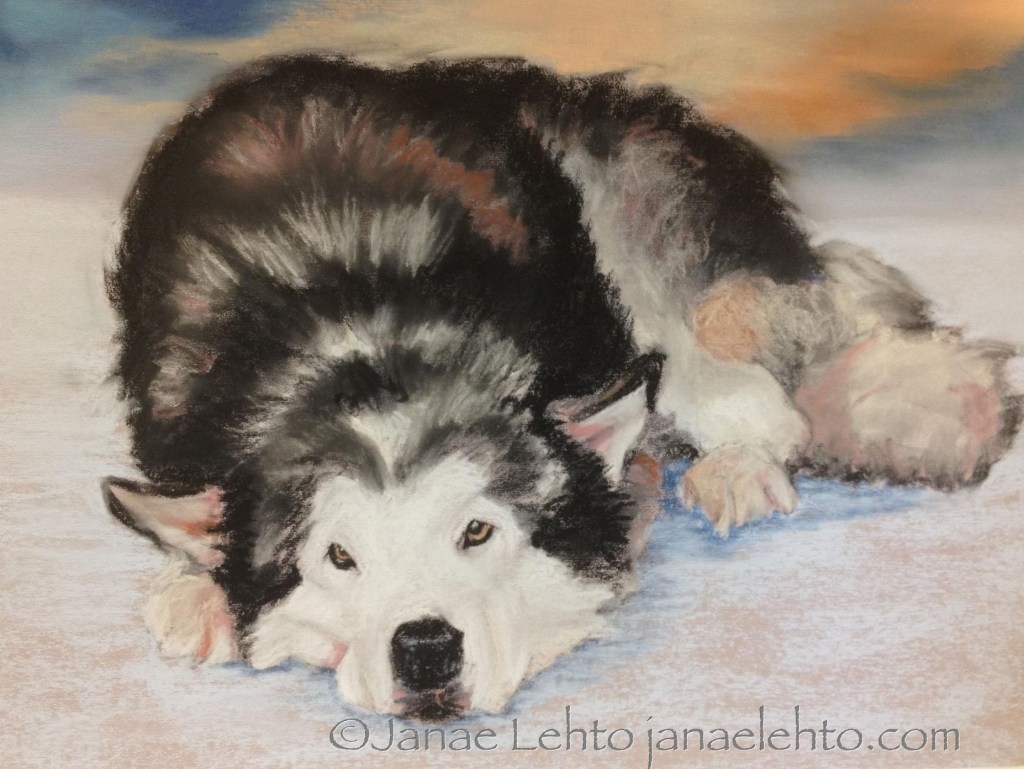 Contemplation, Malamute