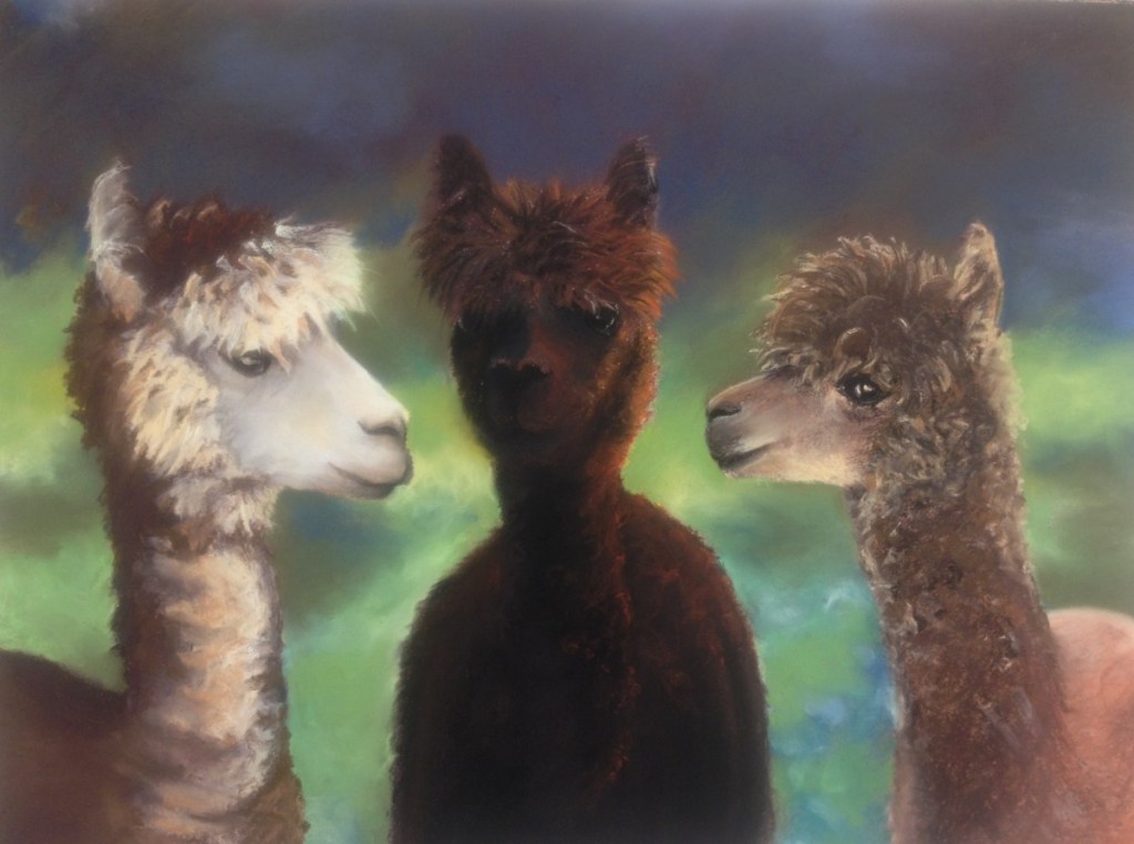 "Three Alpacas" by Janae Lehto