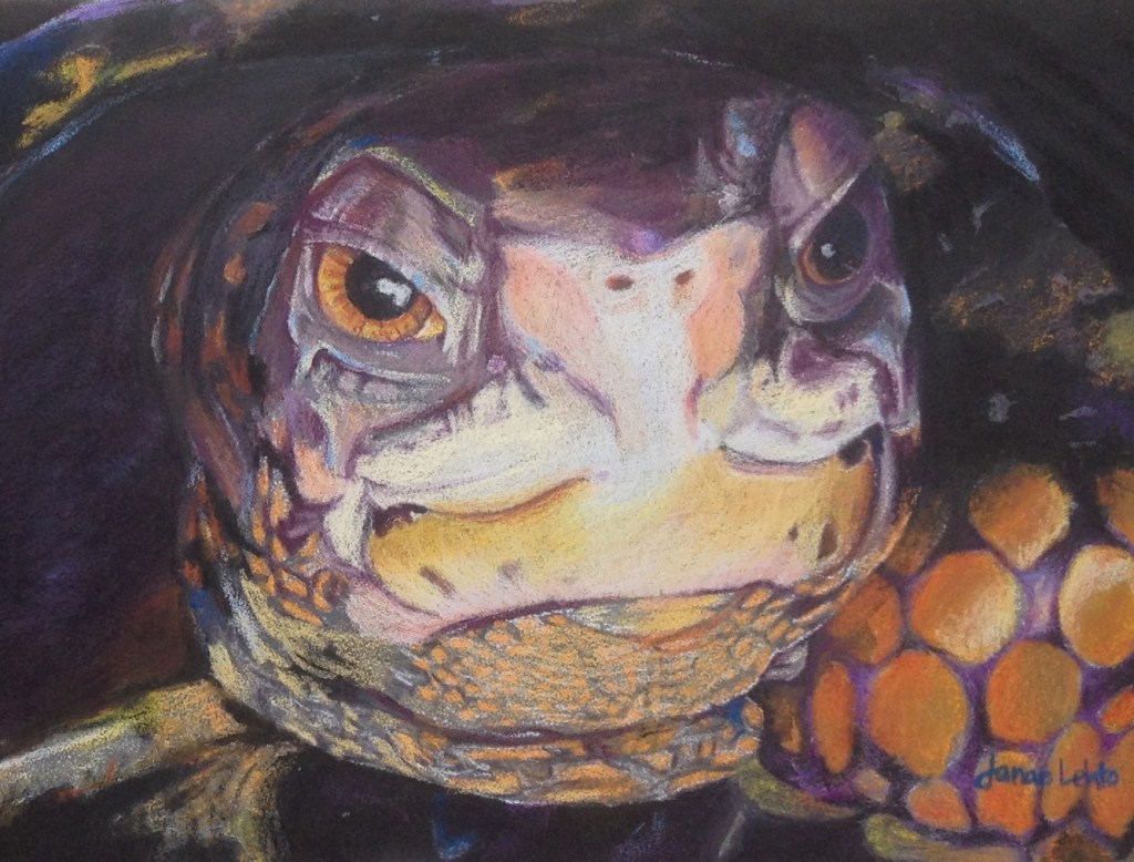 Close-up of "Boxed In"